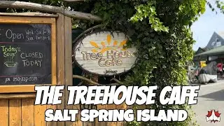 CLIP Ep. 1 - THE TREEHOUSE CAFE