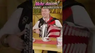 Live-Musik mit Hubsi Trenkwalder und Mario K. 🎶❤️  #volksmusik #musik #harmonika