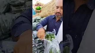#cucumer 🥒 AMK, Fresh Vegitables 🎯 #fresh #organicvegetables #freshvegetables #clean #fruit #pure