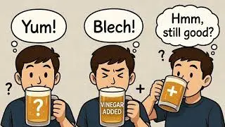 Beyond Logic: Why Traditional Economics Gets Human Behavior Wrong