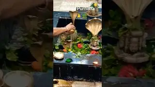 Shiva mukkoti pushya purnima 🌿🪔🙏 #shorts# surabhi multi creations #devotional #