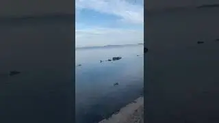 Hatıran Yeter ses yorum harika 