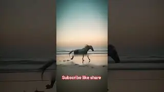 Every New Start Is Difficult | Stay Strong #motivation #quotes whatsapp status video