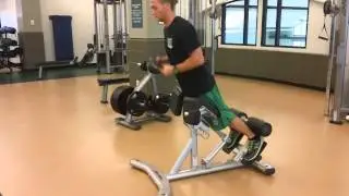 Life Fitness Back Extension Bench
