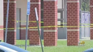 Student Hospitalized, Teen Arrested Long Reach High School Stabbing, Police Say