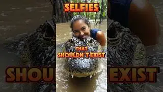 📸 Selfies That Shouldn&rsquo;t Exist &ndash; With Lions, Sharks & More! 🐍😱