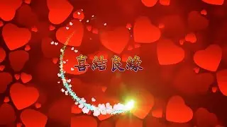 Lễ Thành Hôn Ngọc Phát & Ngọc Nhi 30-11-2025 . 新婚之喜 -  楊顯玉發先生  &  鄭玉儀小姐   .lqpfc169