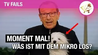 Mikrofonpanne: Wettermoderator spricht versehentlich 20 Minuten lang in Terrier