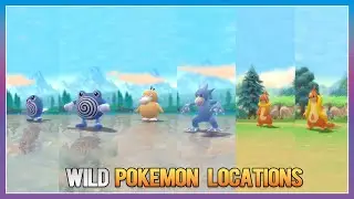 Pok&eacute;mon BDSP - Poliwag,Poliwhirl,Psyduck,Golduck,Buizel & Floatzel Locations