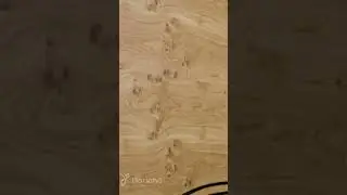 Межкомнатная дверь 
