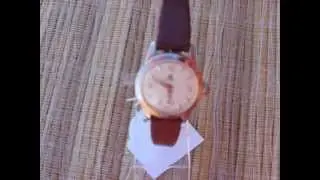 VIDEO ALPINA SWISS MADE ANTIMAGNETIC INCABLOC WATCH.AVI