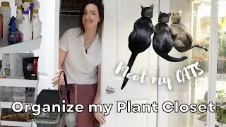 Organize my Plant Closet with me! | Meet my 3 Cats! | Plant Products and Making New Soil