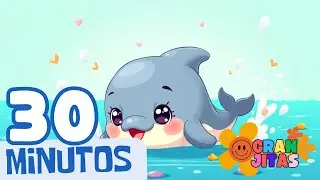Delfín Iii Iii – Música Infantil para Saltar y Reír 🐬💦
