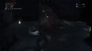 Bloodborne - Hot Pig Fisting Action