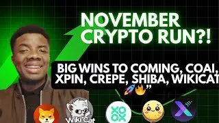 November Crypto Run: Big Wins to Coming, COAI, XPIN, CREPE, Shiba, WikiCAT 🚀🔥