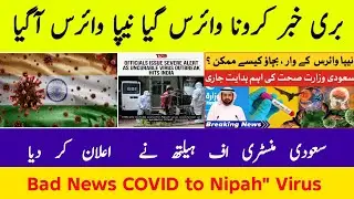 Breaking News Nipha Virus Spread India | Saudi Ministry of Health Announcement | Corona virus 