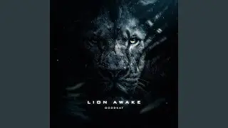 Lion Awake