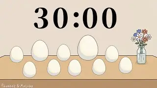30 minute fun timer with music| 30分鐘倒數計時⌛️附音樂