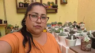 UMA CONVERSA SÉRIA, O QUE DEVO FAZER ?.😢