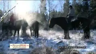 NordRitt - Vildmarksritter