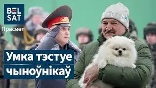 Шпиц – второй по важности в Беларуси. Важнее, чем Вольфович? / Просвет