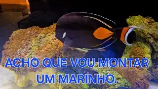 Que loucura!!! Um dia maluco e uma loja espetacular.