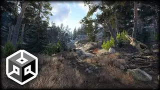Unity Realistic Forest Demo (No Sound)