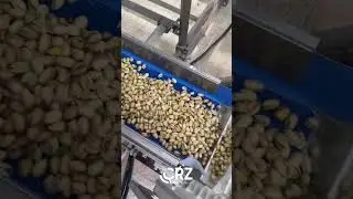 CRZ MAKINA - CRZ 500RO NUTS ROASTING LINE
