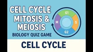 Cell Cycle, Mitosis & Meiosis &mdash; QUIZ Game | Biology Crash Revision (NEET / MCAT / Boards)