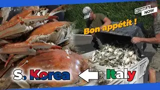 S. Korea's love for blue crabs to solve Italian problem