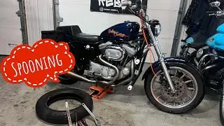 Changing a Harley Davidson tire with out a tire machine. 