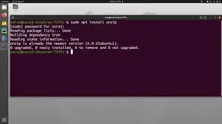 How To Install Unzip In Ubuntu Linux