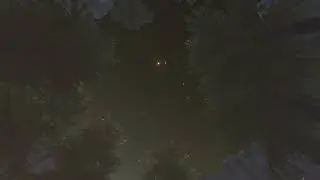 Outer Wilds - Quantum Grove Ambience