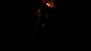 Thunder fell on coconut tree.
