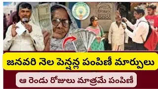 NTR Bharosa Pension Scheme Latest Update JAN 2026