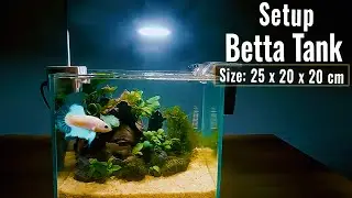 Aquarium nano tank setup for beginners simple No Co2 #1 | Shinark Aquascaper