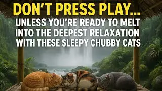 3 Chubby Cats Sleeping by a Waterfall 😴✨ Ultra-Relaxing 8K ASMR Ambience