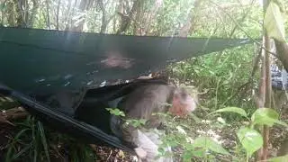 HENNESSY HAMMOCK: TOM DEMONSTRATES THE SIDE ZIPPERED ENTRANCE EXPEDITION
