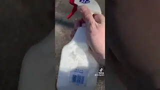 How to kill bedbugs!