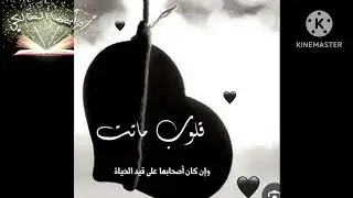 وعي القرآن.( الحلقه ١٣)(القلوب الميته)