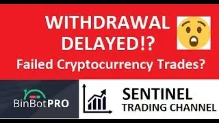 BinBot Pro Withdrawal - Delayed Withdrawal? Cryptocurrency BAD?