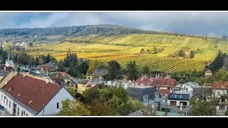 neustift am walde