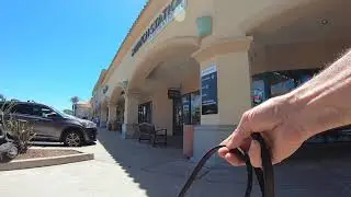 Cash 2.0 Great Dane at the Camarillo Premium Outlets mall (2 of 2)
