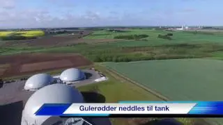 Gr&oslash;nGas Vr&aring; 24 maj 2017
