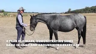 Classical Horsemanship - Basic Exercises.
