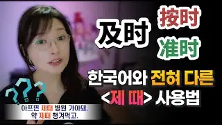 及时,按时,准时 한국어와 전혀 다른 【제때】사용법ㅣ헷갈리면 안되는 중국어 단어 차이점 알아보기ㅣ원어민 홍매쌤 중국어