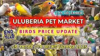 ULUBERIA PET MARKET BIRDS PRICE UPDATE ON 27th DECEMBER 2025 #uluberiapetmarket #cheapestprice #2025