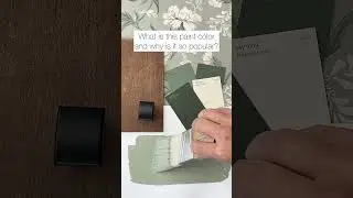 SW Evergreen Fog is popular green paint color because you can pair it with a variety of finishes.
