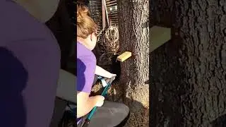 The Day we Finally Trapped Hercules