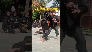 KEKUATAN SENI BELADIRI INDONESIA ❗☠️